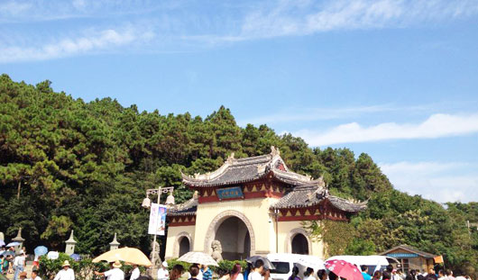 華瑞針紡織 踏青季節(jié)：普陀山一日游